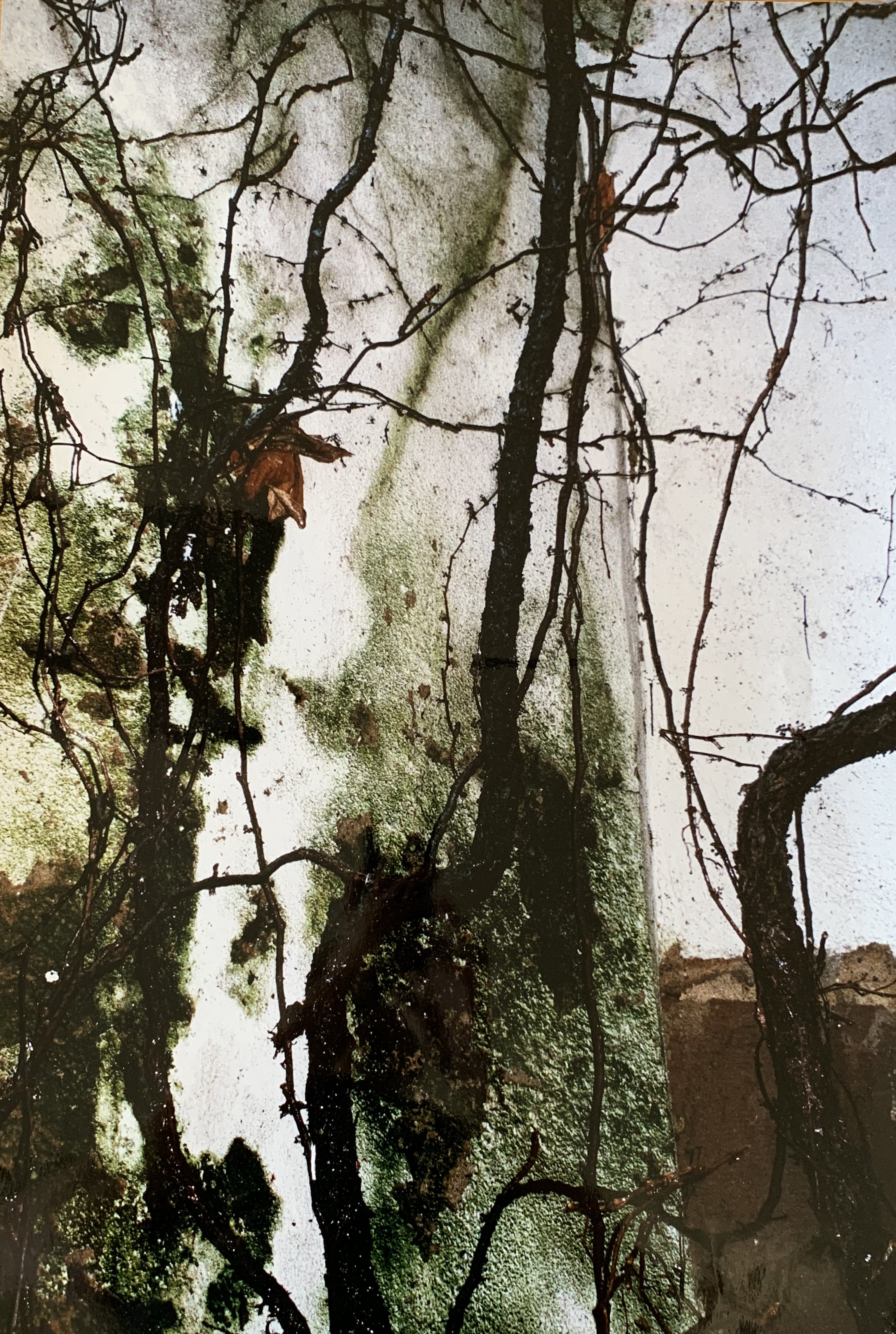 OHNE TITEL