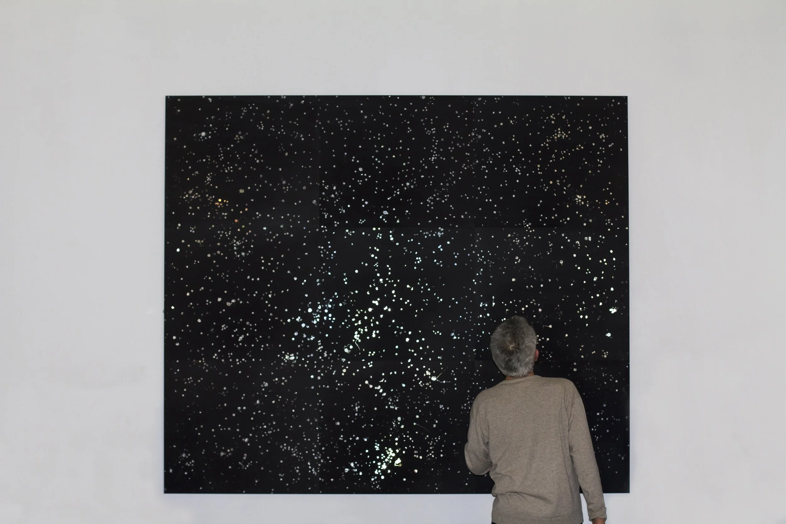 Artwork (working) — NEAL FEAY