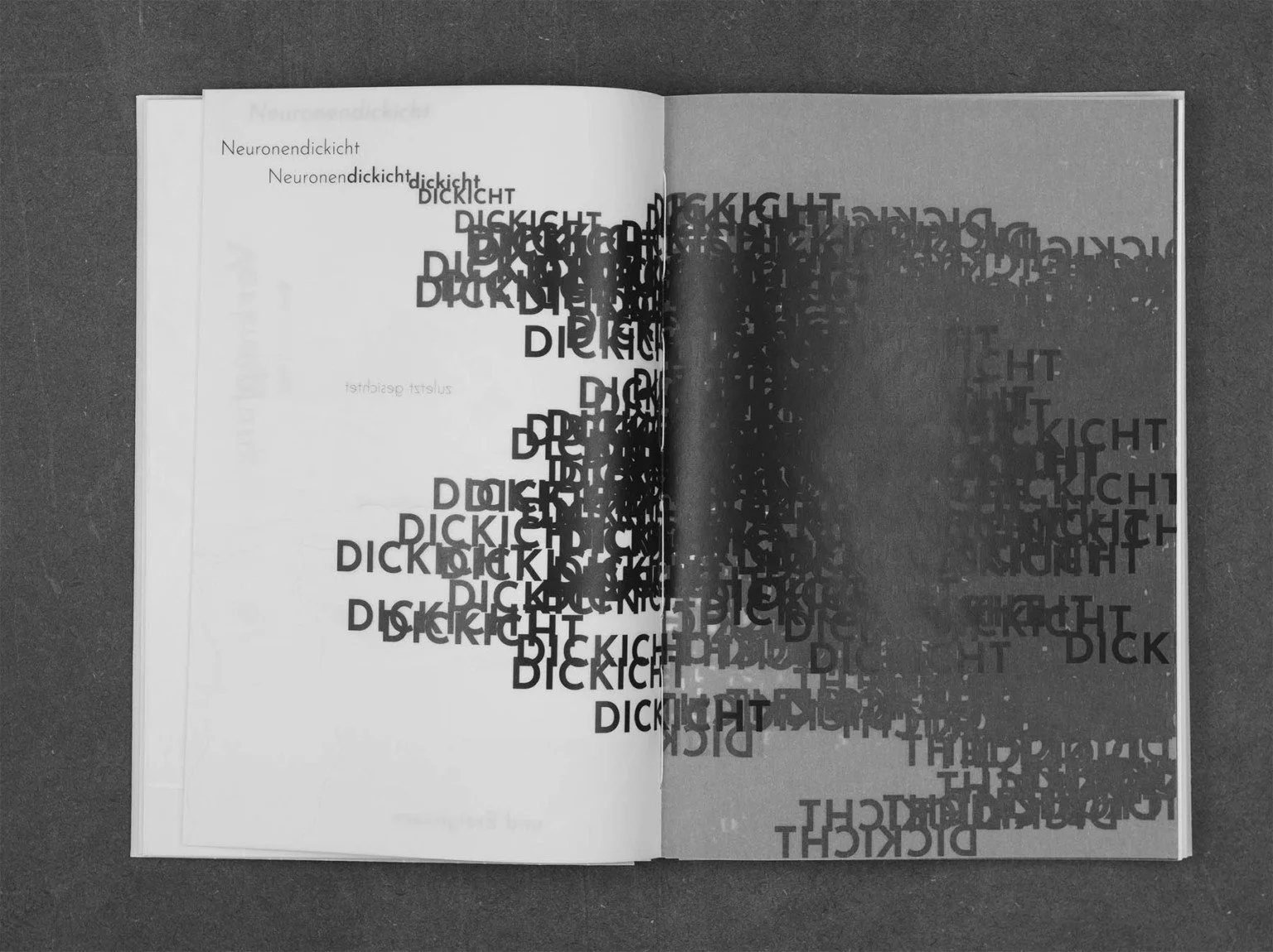 Noema_Doppelseite_web4-1536x1150.jpg