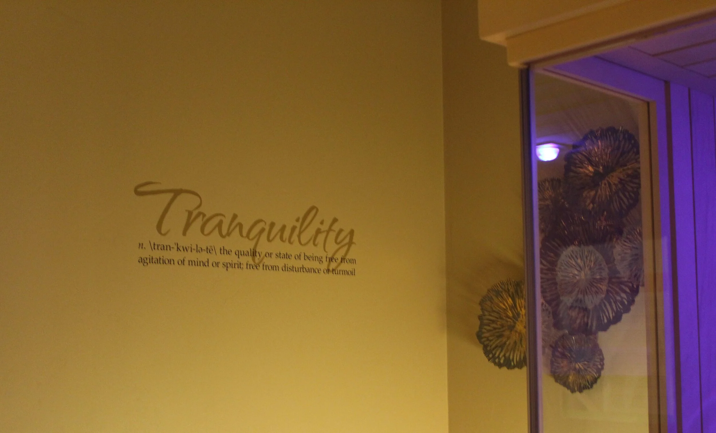 Infrared Sauna ($25)