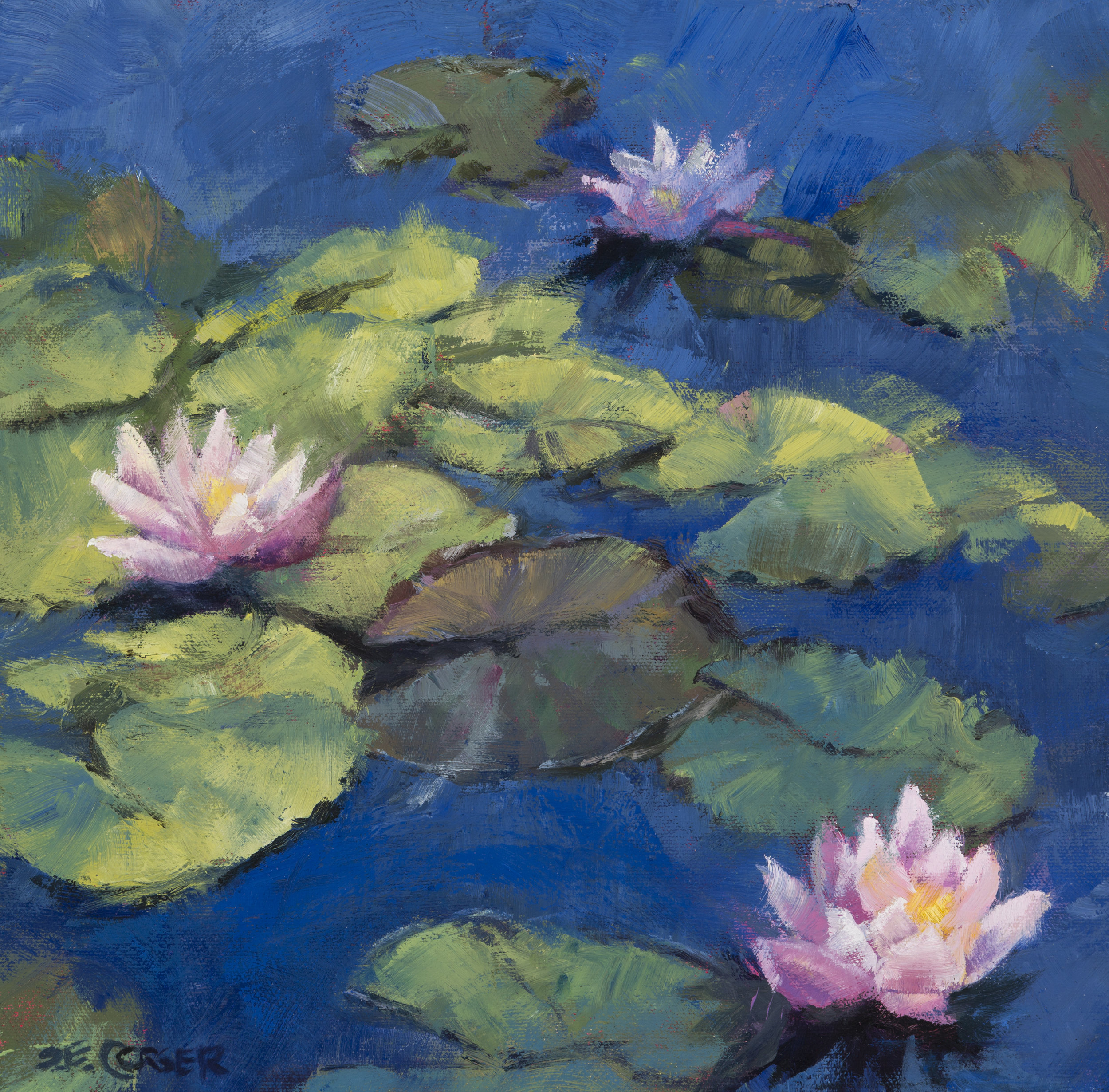 Water Lilies