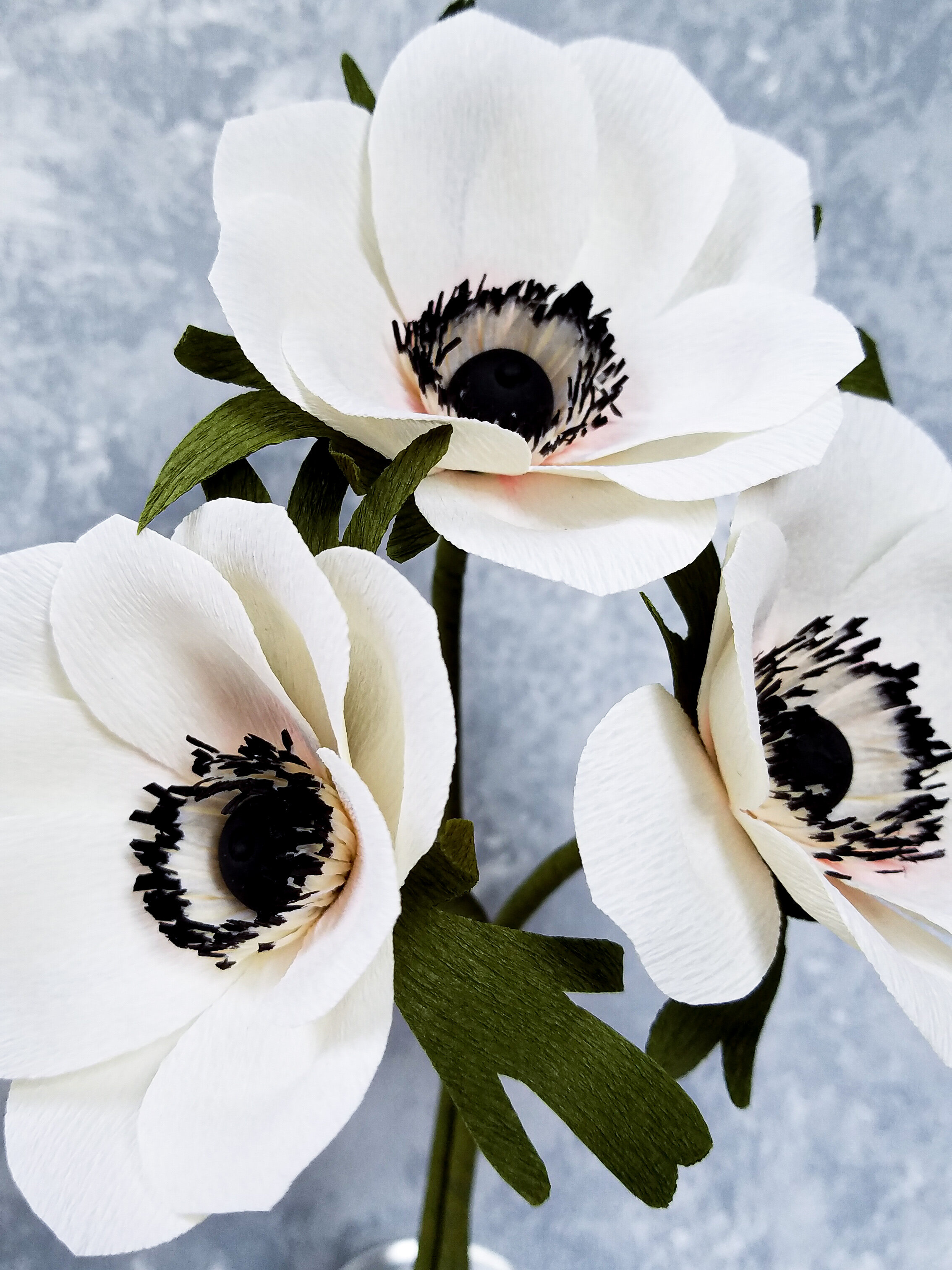 Single Stem Crepe Paper Anemone — Franky and J.