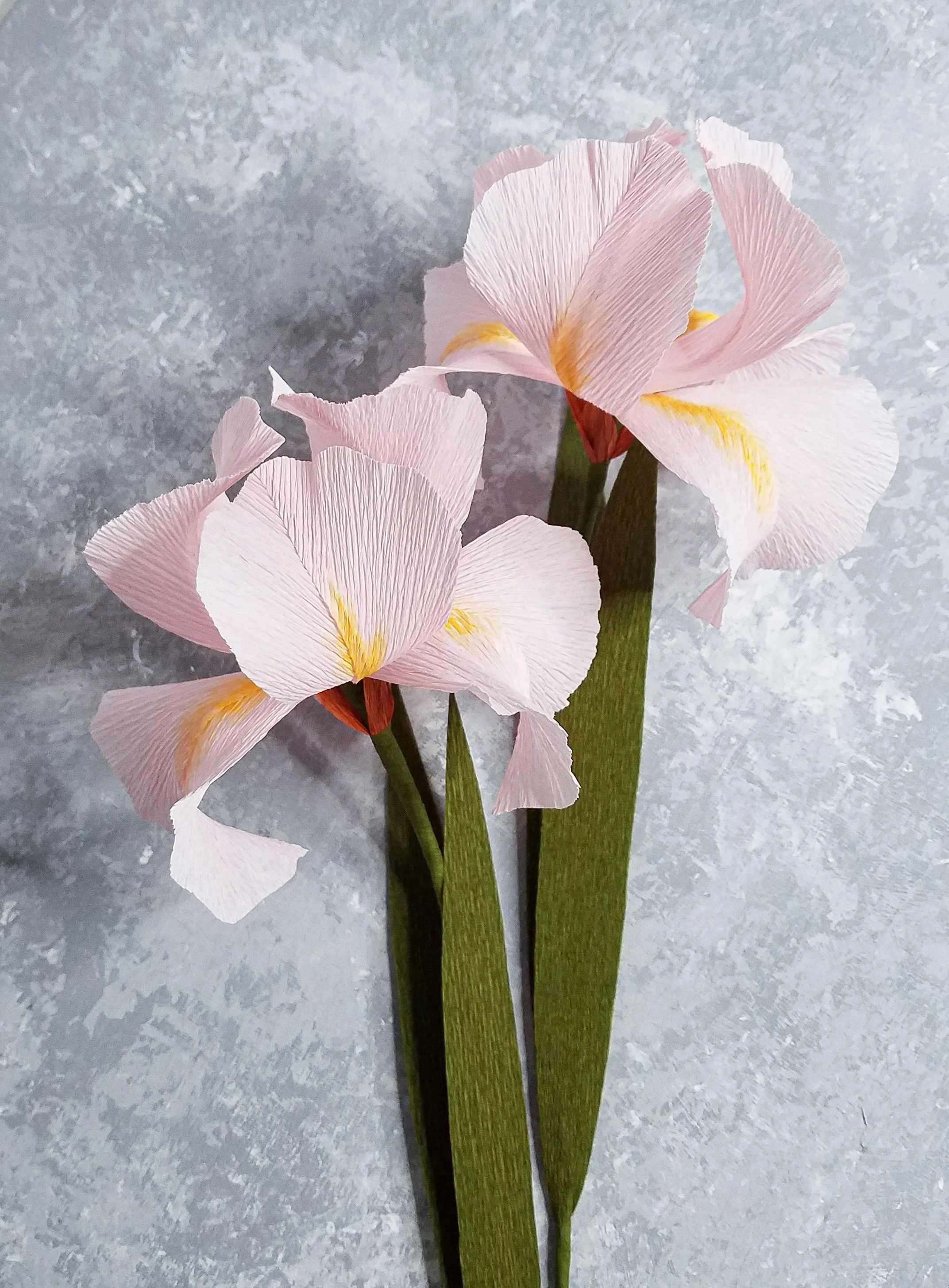 Crepe Paper Iris Flower — Franky and J.