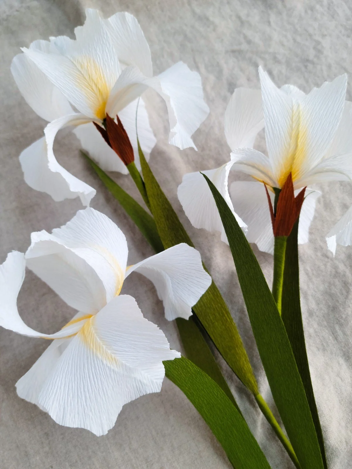 Crepe Paper Iris Flower — Franky and J.