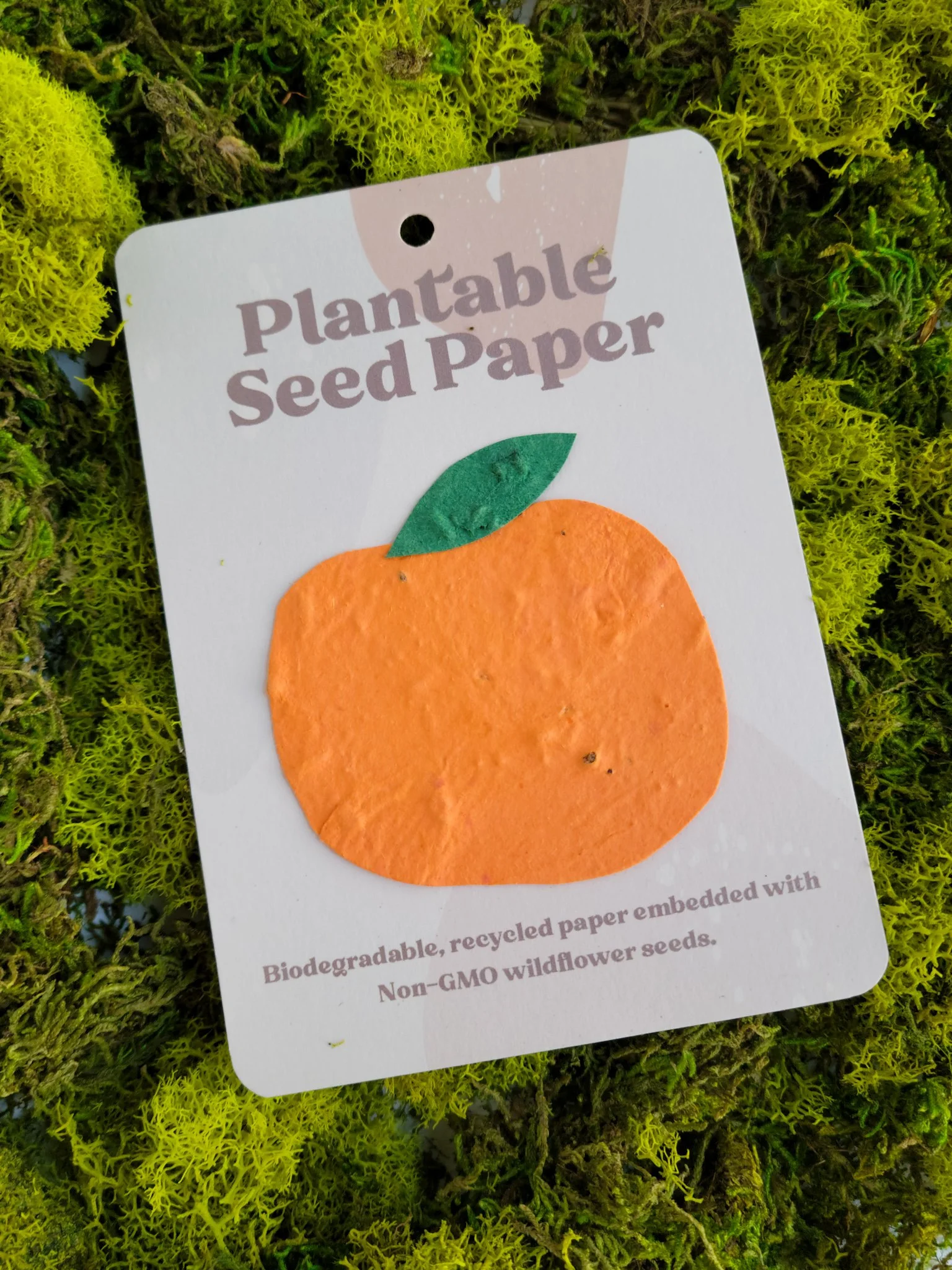 Plantable Seeded Paper — Franky and J.