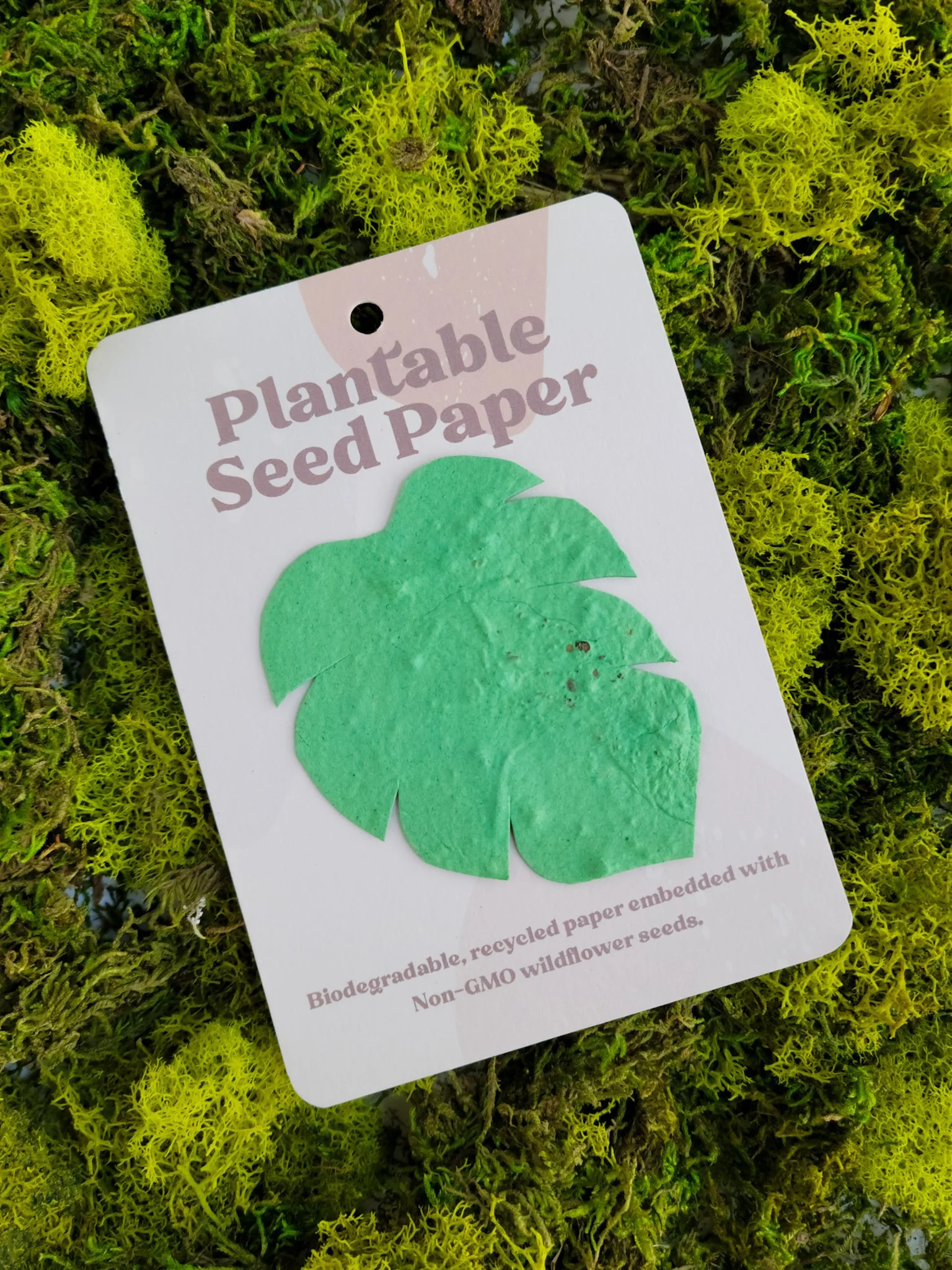 Plantable Seeded Paper — Franky and J.
