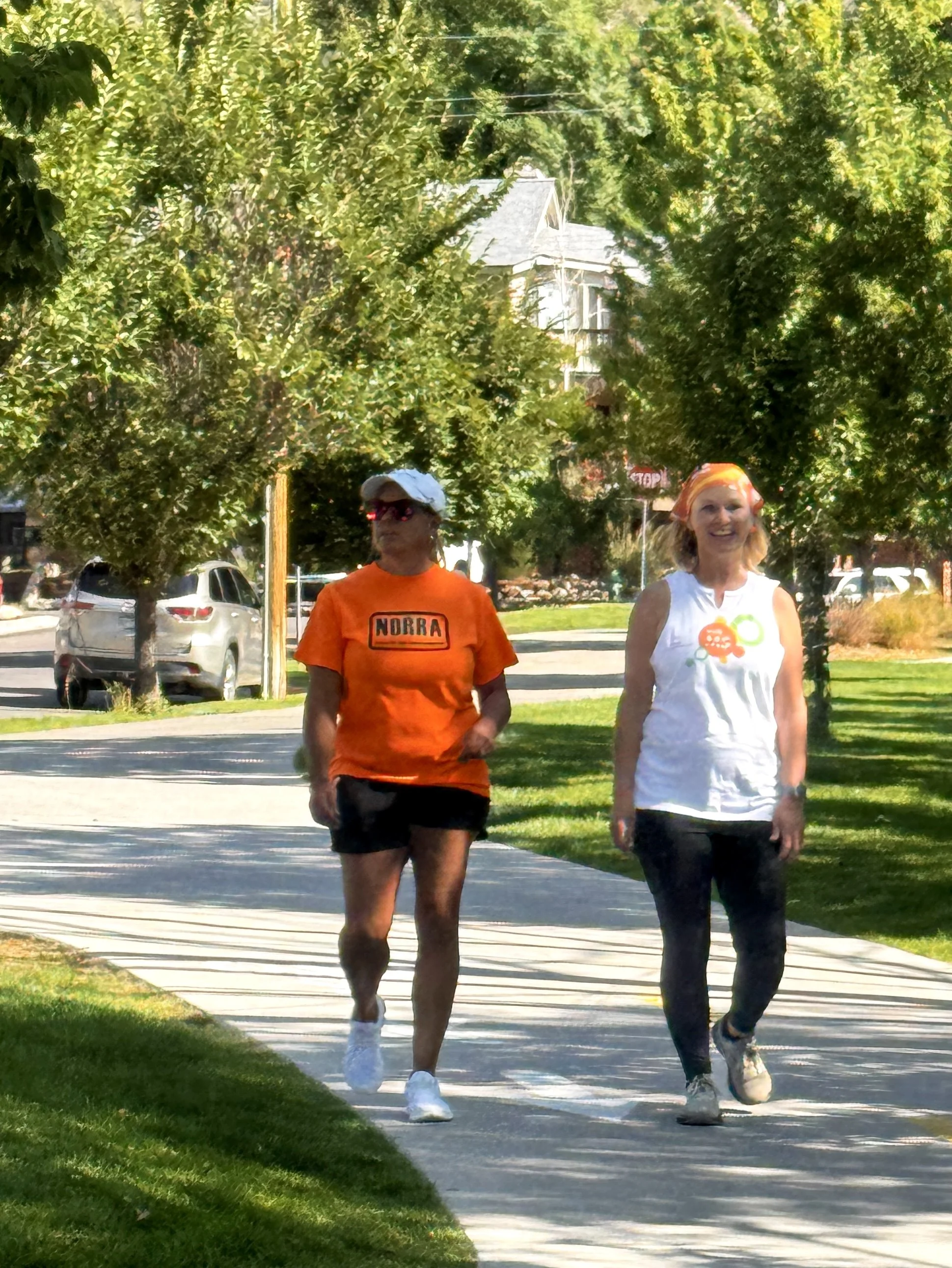 Dgo 2025 walk....jpg
