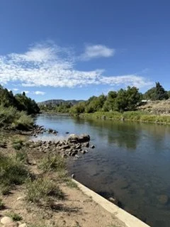 IMG_3026.jpeg