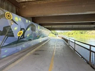 IMG_3024.jpeg