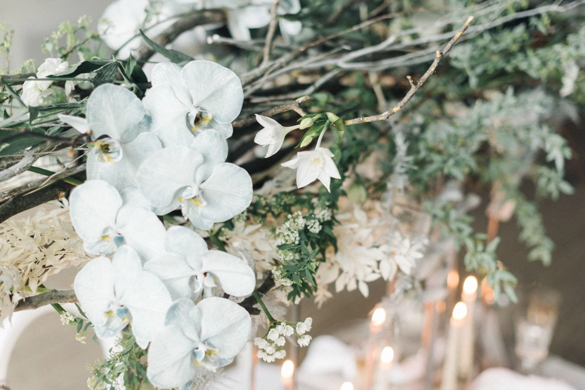 olio-peabody-boston-lesbian-wedding-style-daylynn-designs79.jpg