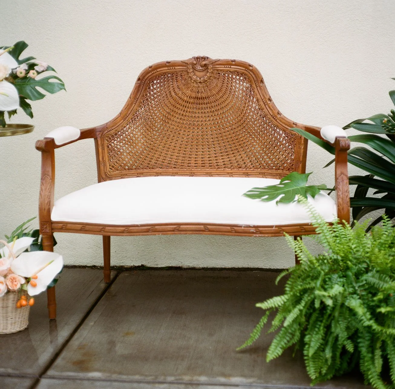 roger-williams-park-botanical-tropical-peach-daylynn-designs026.jpg