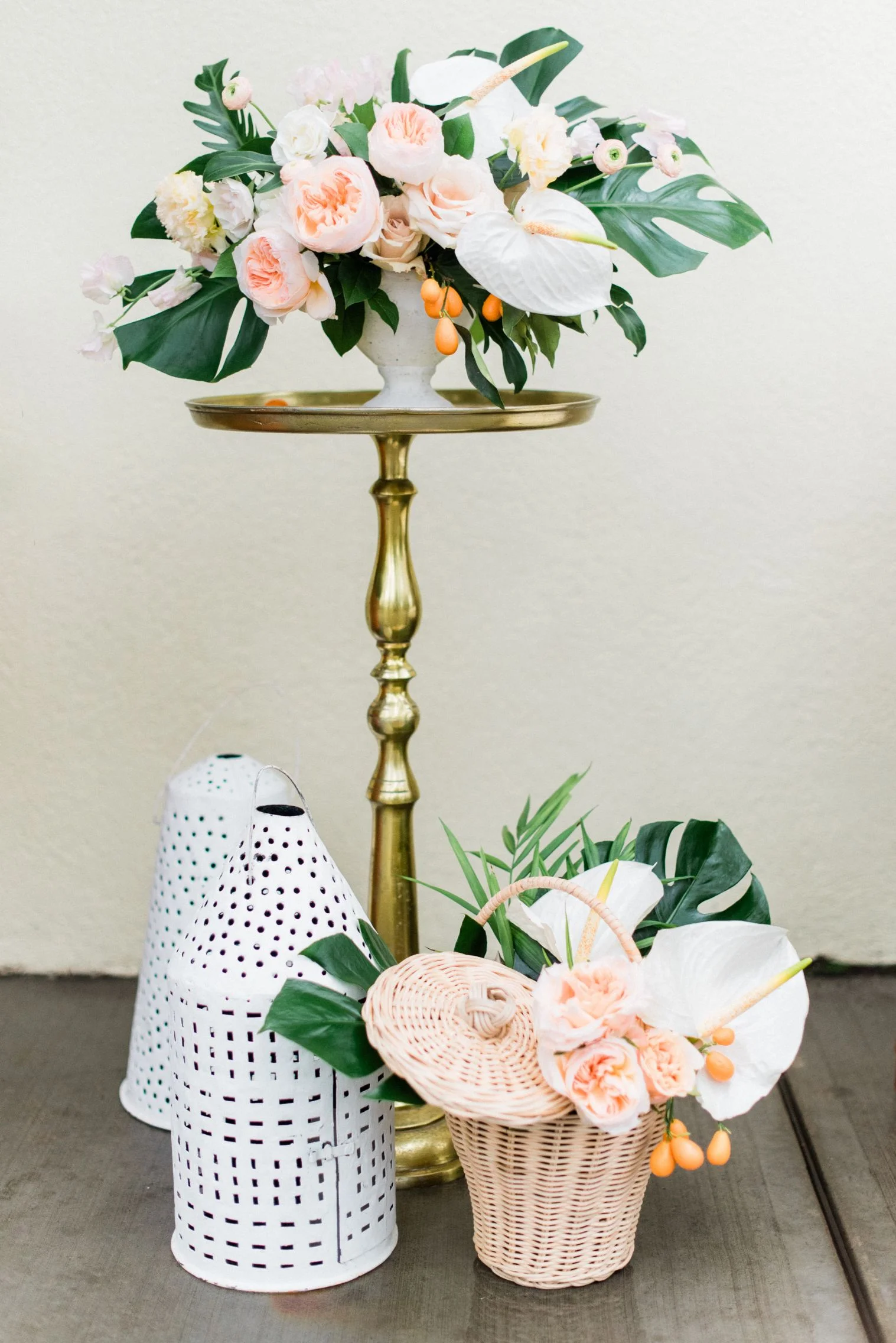 roger-williams-park-botanical-tropical-peach-daylynn-designs10.jpg