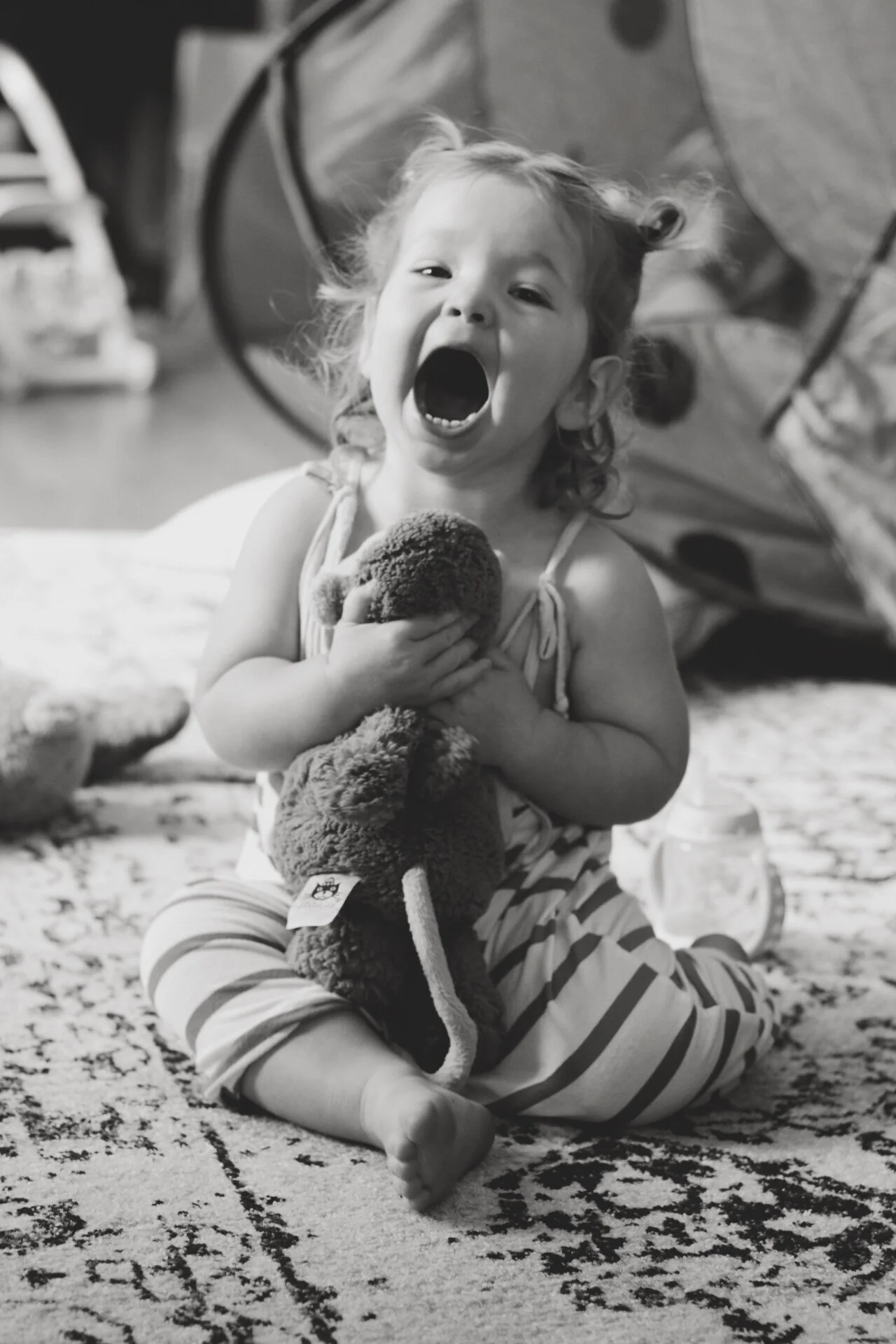 monkey hugs