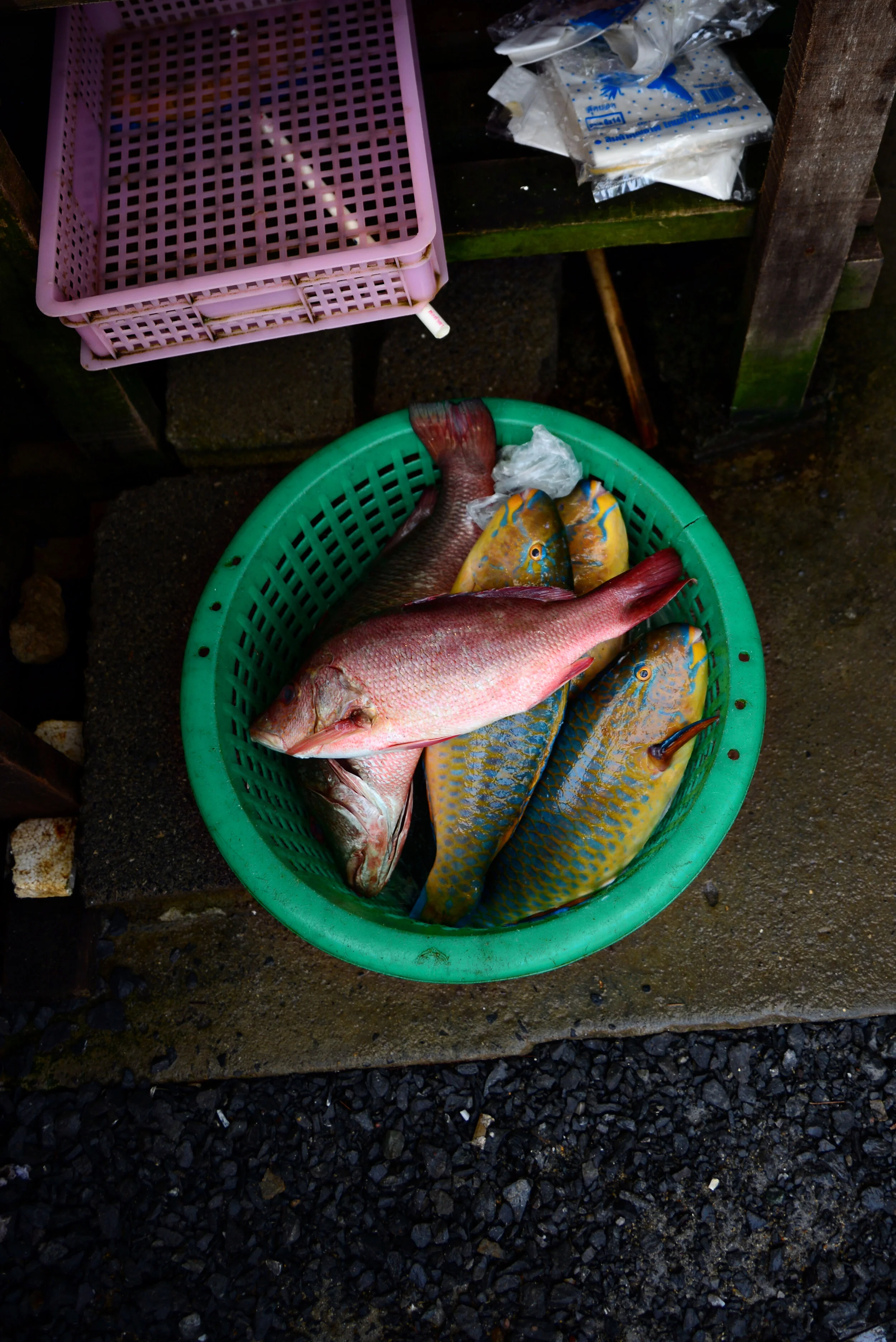 DSC_6288.jpg