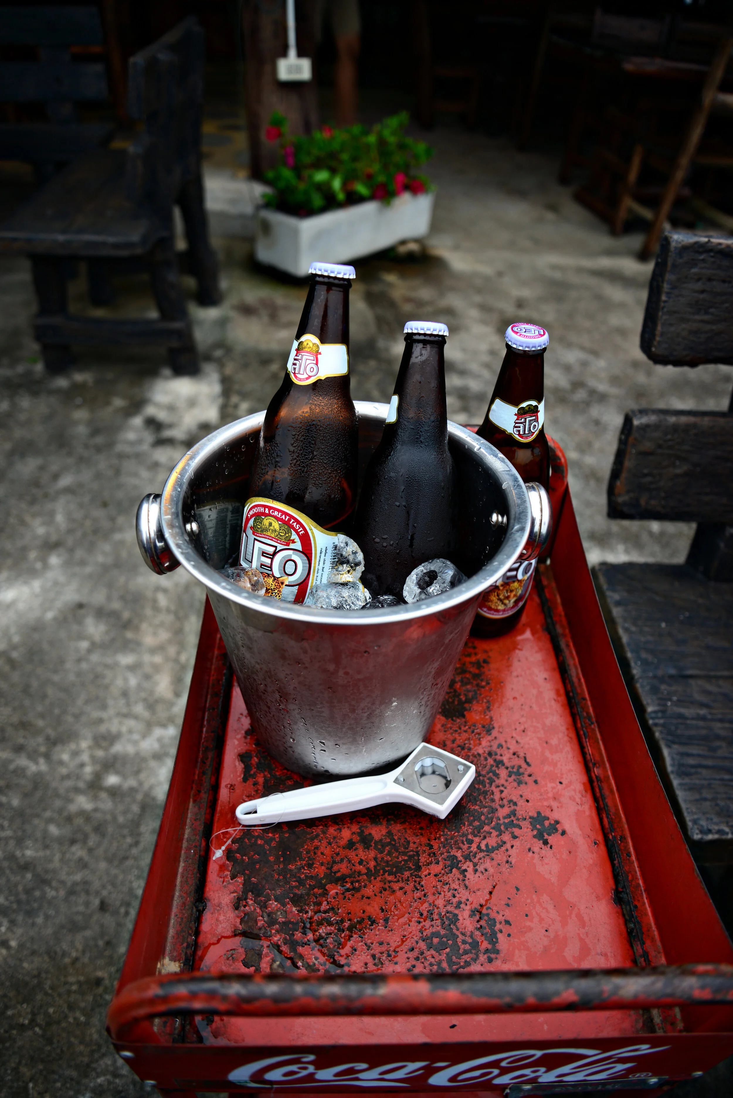 DSC_6561.jpg