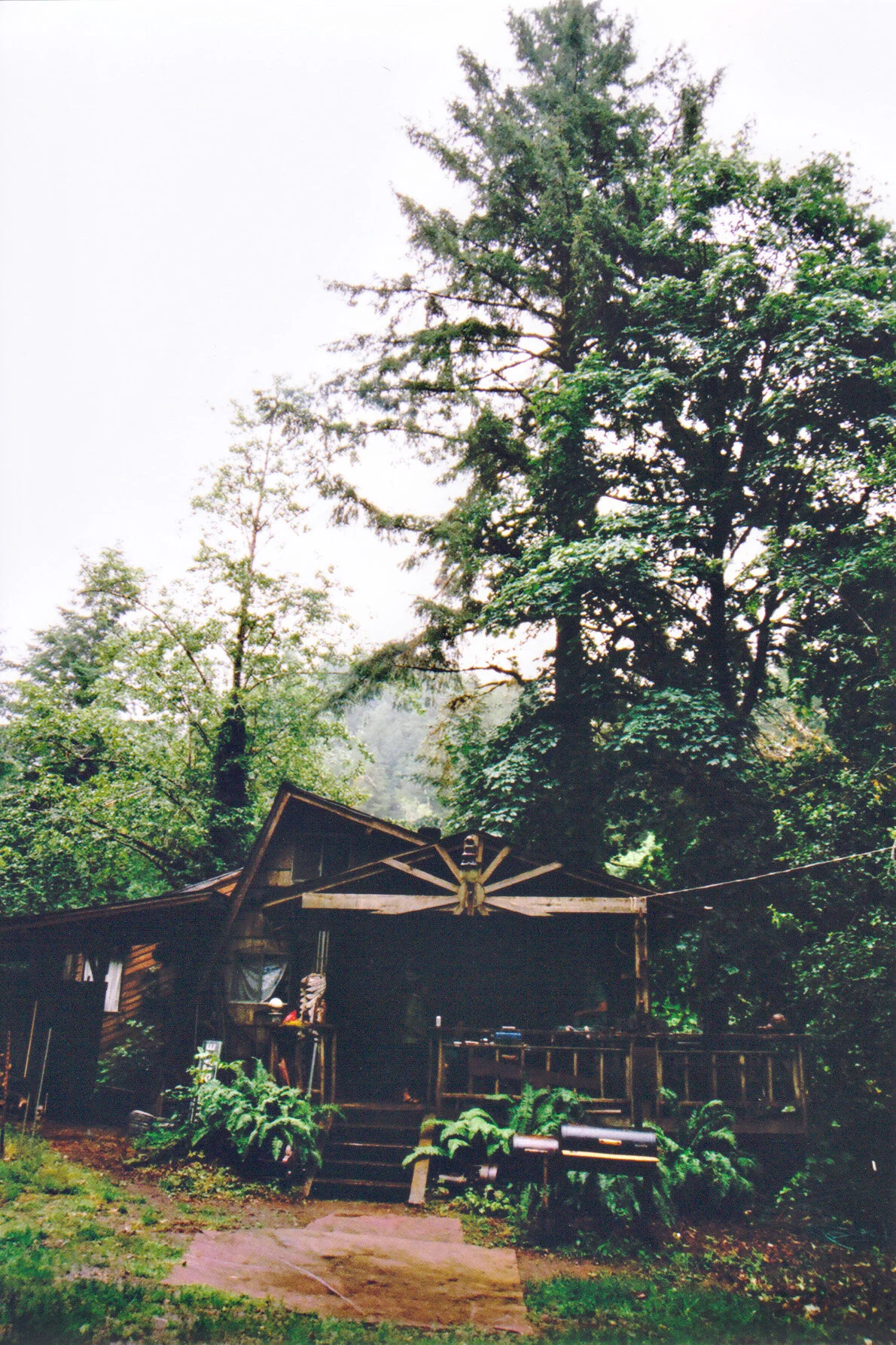 alsea_ 51.jpg