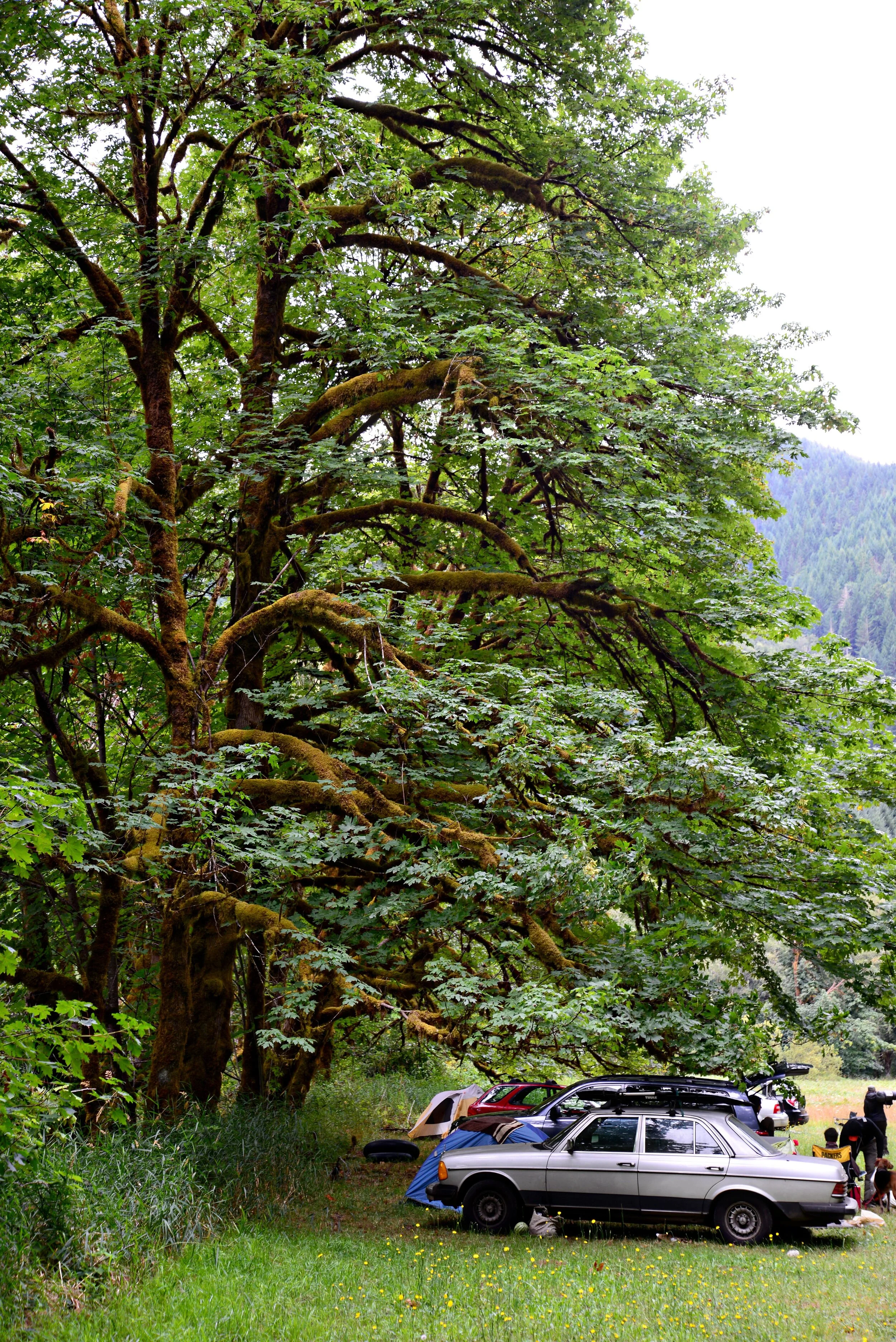 DSC_2472.jpg