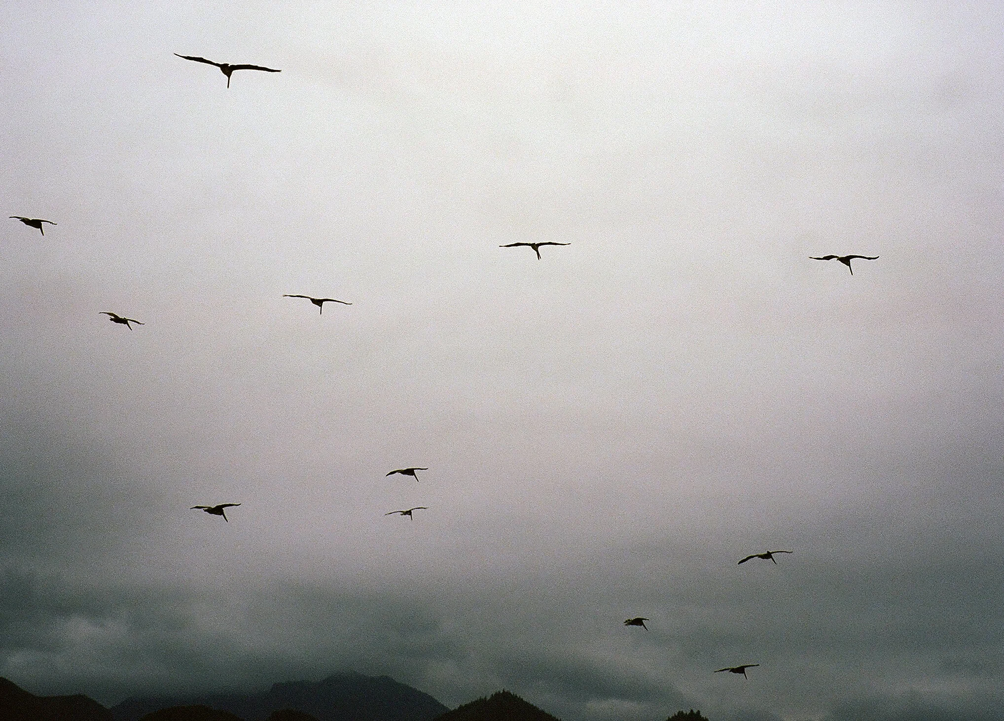 000020650015.jpg