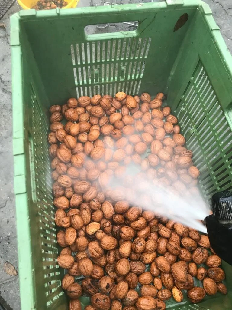 Bio Baumnüsse aus Bern