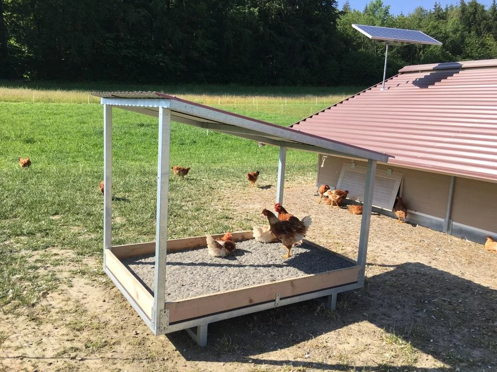 Hühner auf Bio-Bauernhof in Bern
