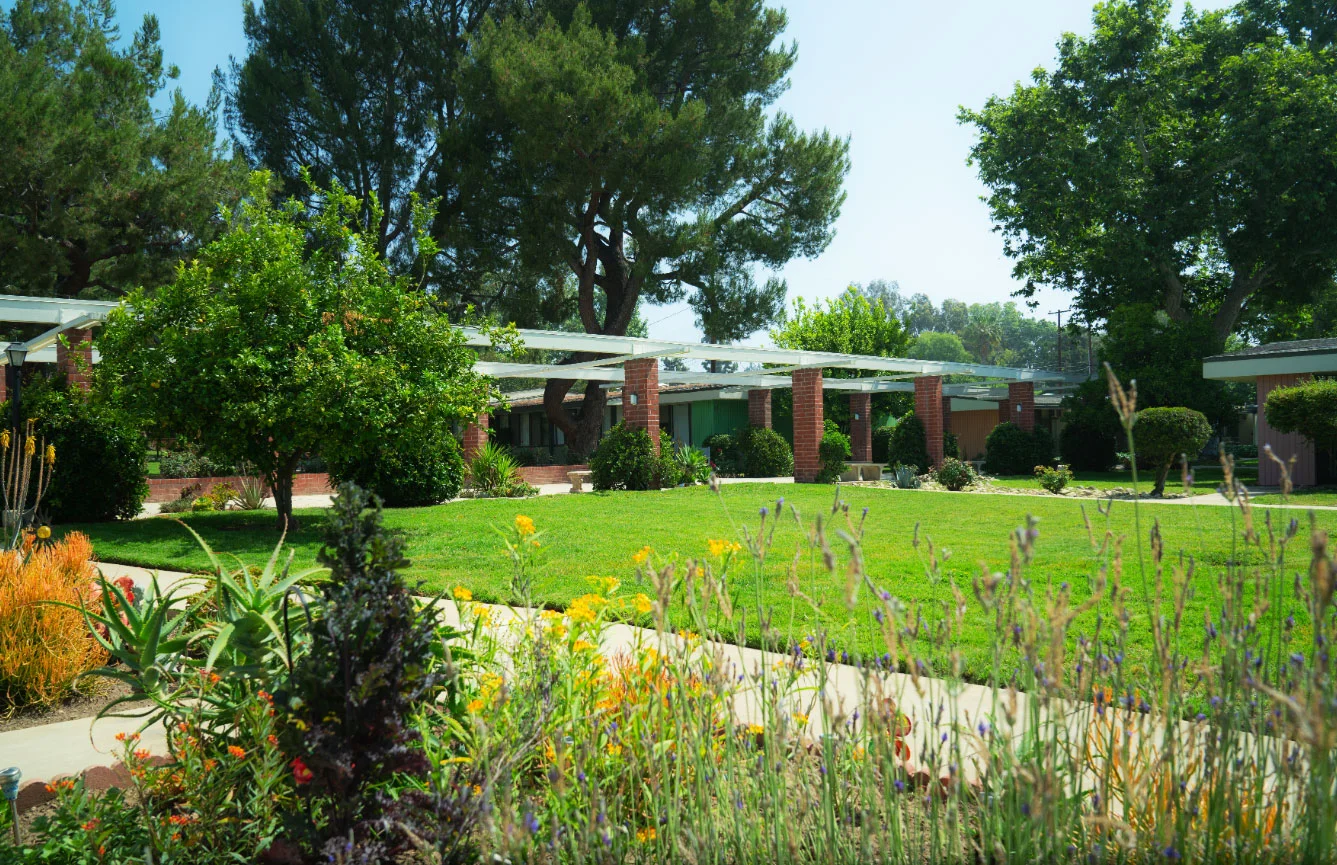 garden-image-2.jpg