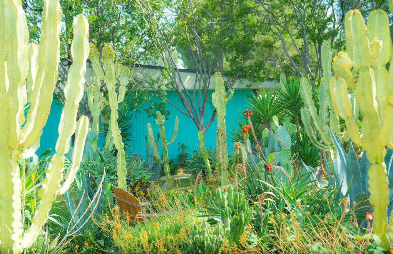 garden-image-1.jpg