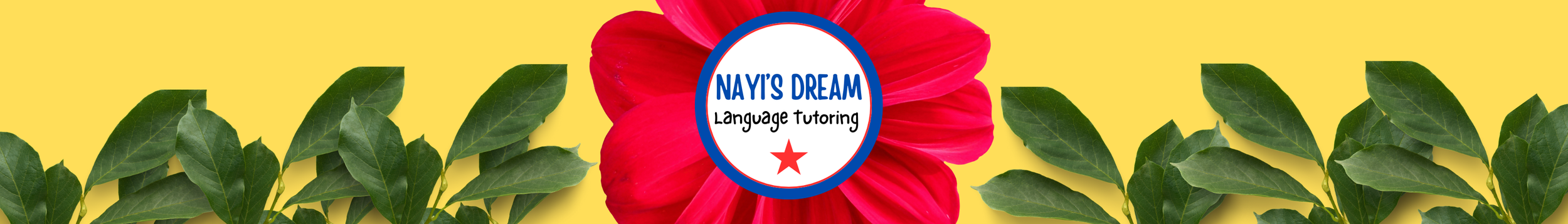 Nayi’s DreamBAR.png