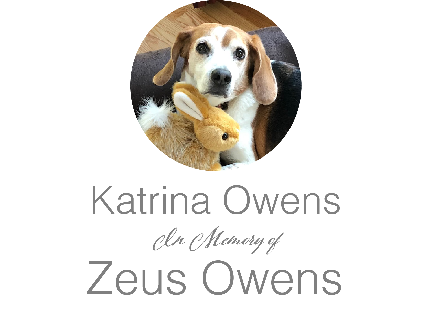 Katrina Owens logo 2024.png