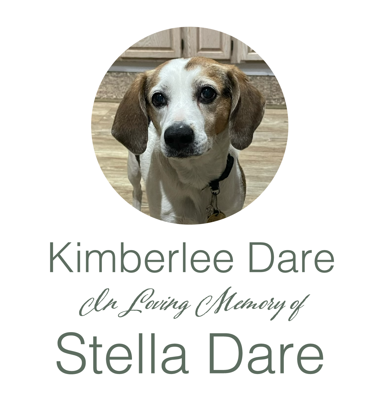 Kimberlee Dare logo - Dog Wedding 2024.png