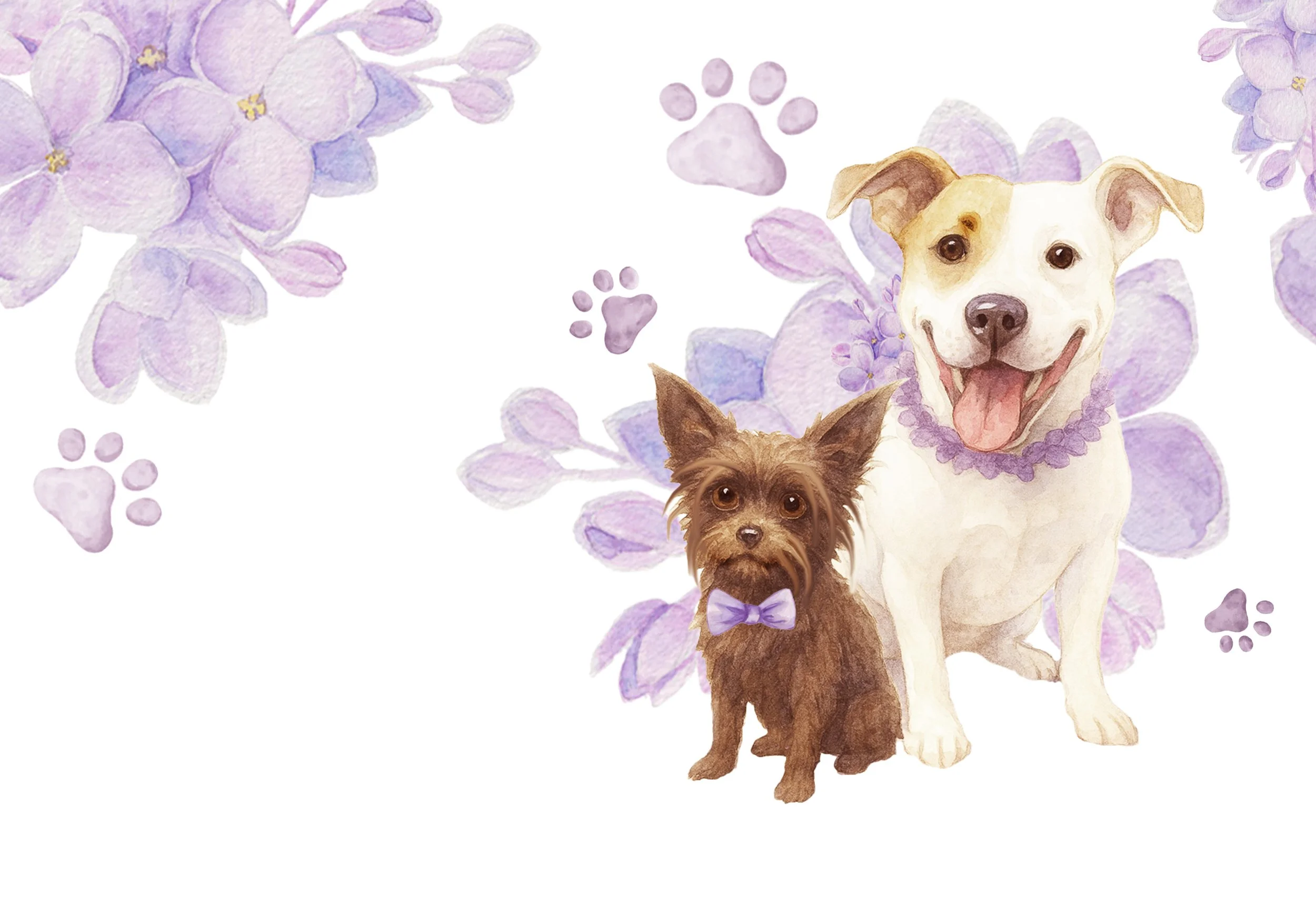 Dog-Wedding-Background-Rooney-Wendell-2026.jpg