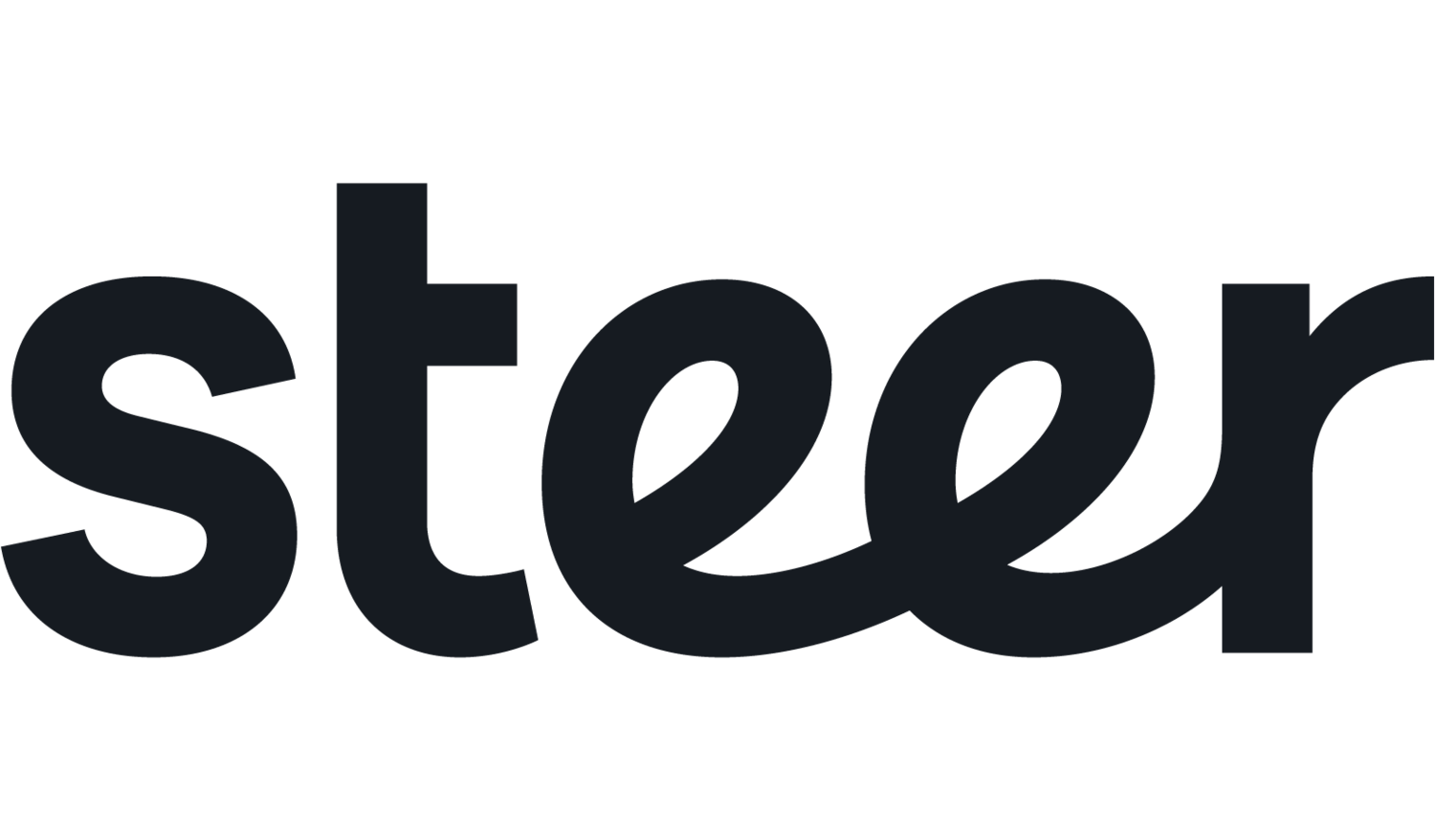 steer_logo.png