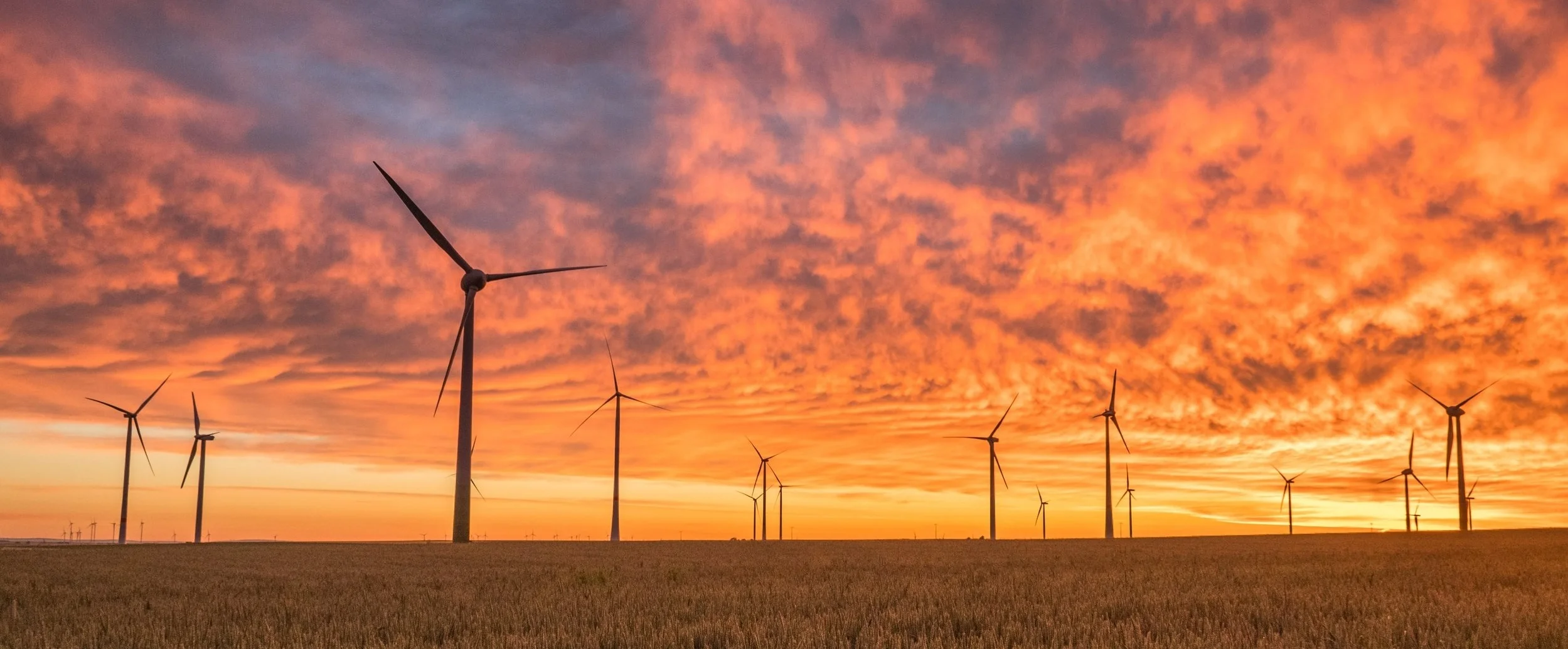 wind turbines.jpg