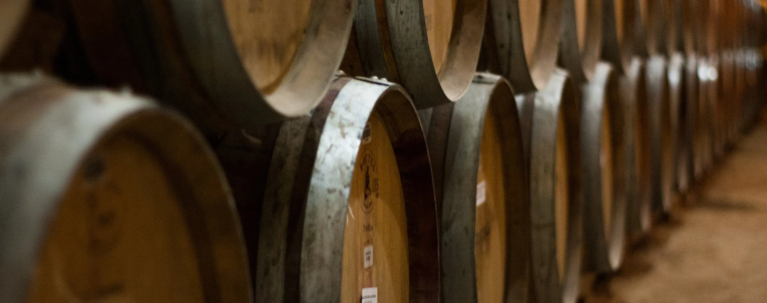 wine barrels.jpg