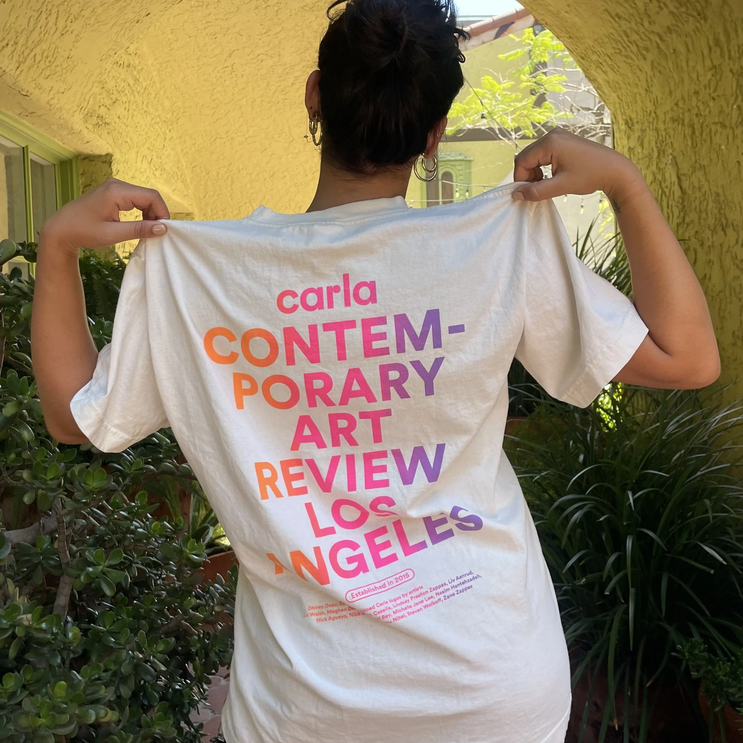 SHIRTBACK.jpeg