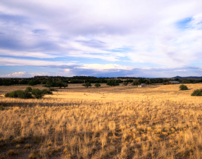 Openbaren Tarief Afm Ecology — LV Ranch POA