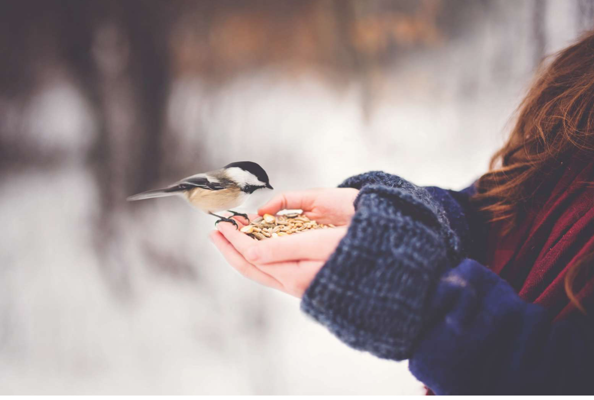 Photo by Paige Cody (Unsplash.com)