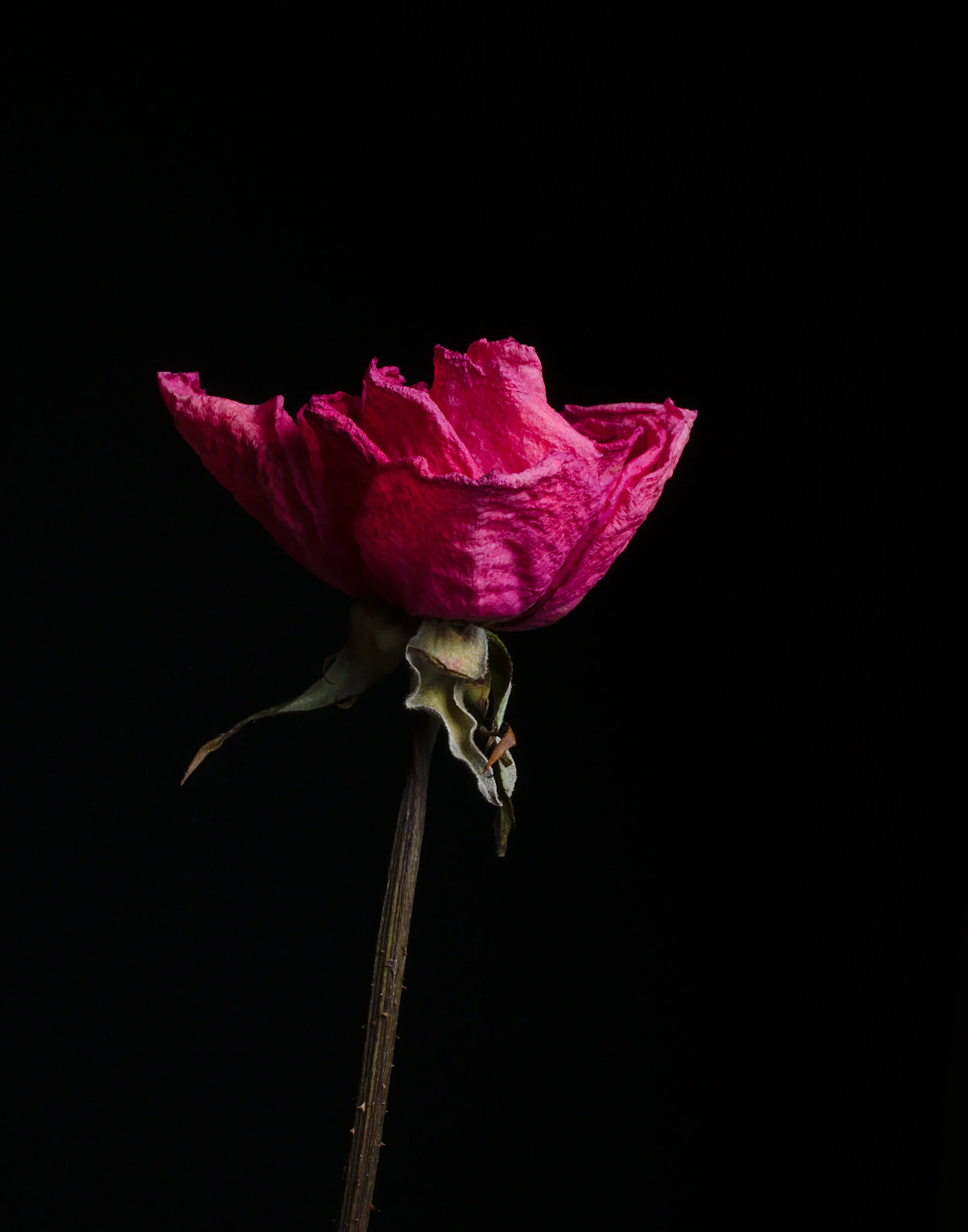 Tomorrow marks a huge milestone in my grief journey. A decade without Emma Grace. I noticed my attitude and disposition changing about a week ago. At first it was me just feeling blue. Maybe no one realized what was going on. Maybe they won’t catch on to what’s going on inside. Then, I felt a little agitated with my family, even going to confession Friday morning. Trying to shake off the pangs of my grief that was boiling up and trying to resurface. Mass was beautiful for first Friday. I tried offering up my suffering to The Sacred Heart, but I just couldn’t get past the feeling of shock that was going on inside of me. 10 whole years without her. I was sad. I was mad. I wanted her back. Sunday, I felt a wave of depression come over me. It was happening all over again. A mother’s love last forever, even when those who are healthy leave home, and have their own families. Nothing separates a mother’s love for her child. Time doesn’t make the love you have in your heart for your child go away. A tomb couldn’t either.
