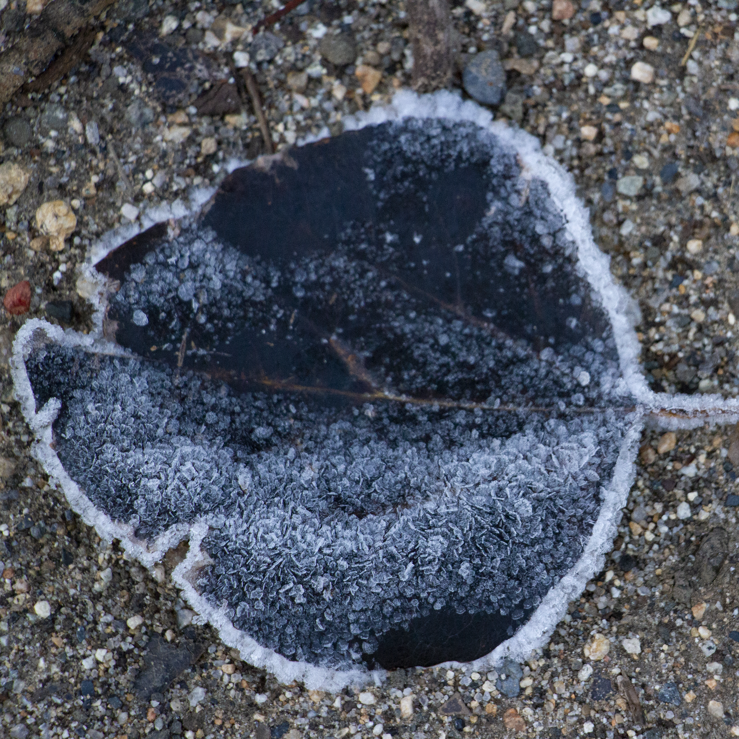 sense impermanence 