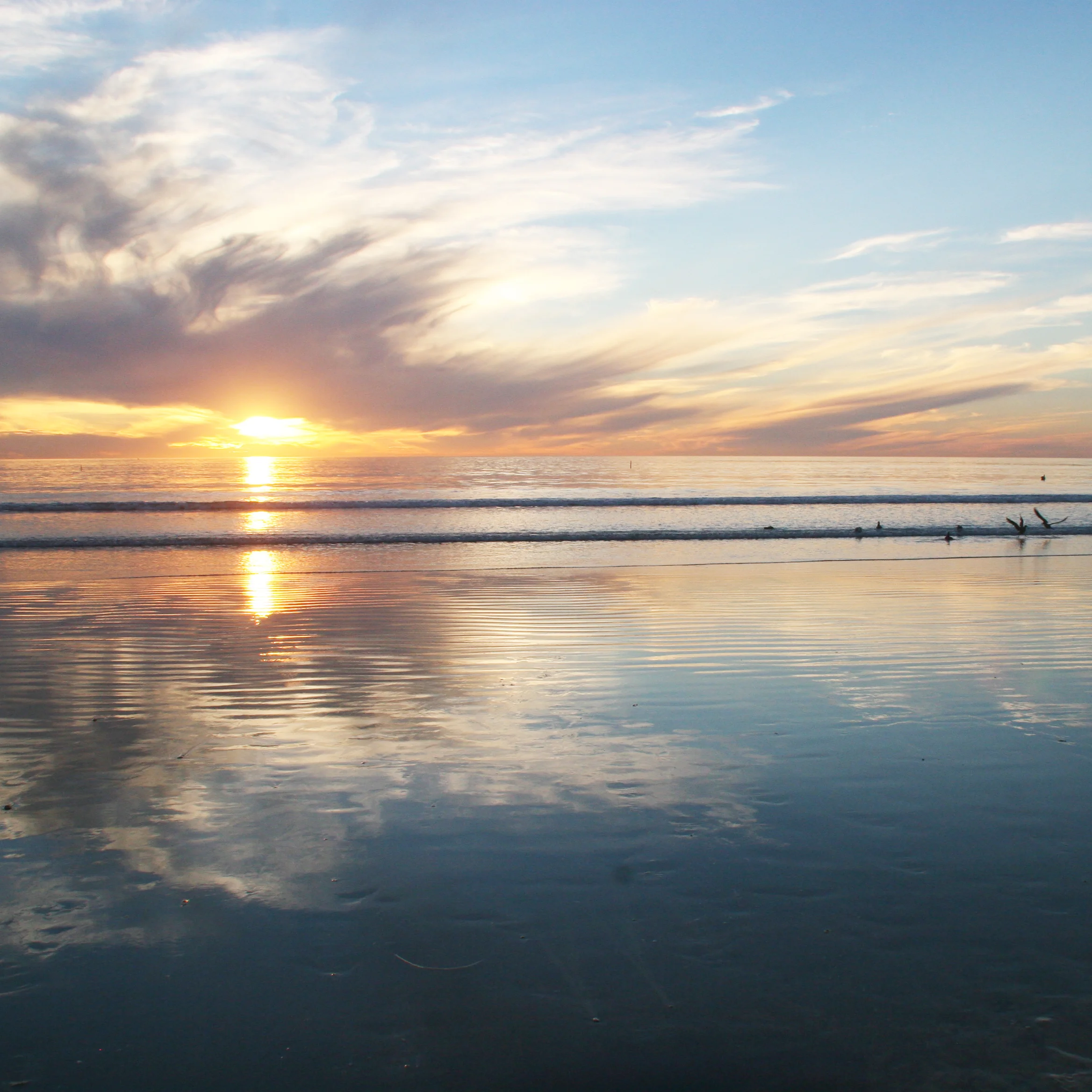let Earth inspire you