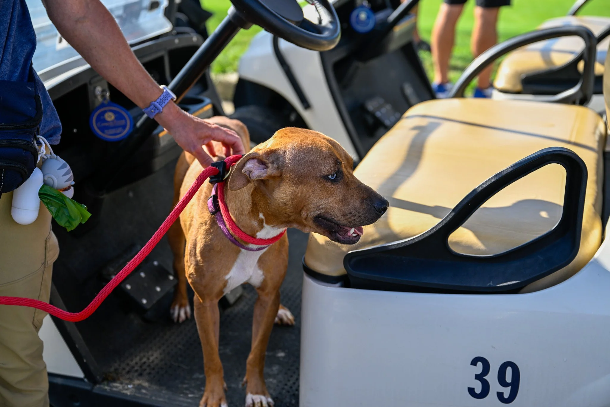 305049392_5353202708048727_6903526691539720860_n (3).jpeg