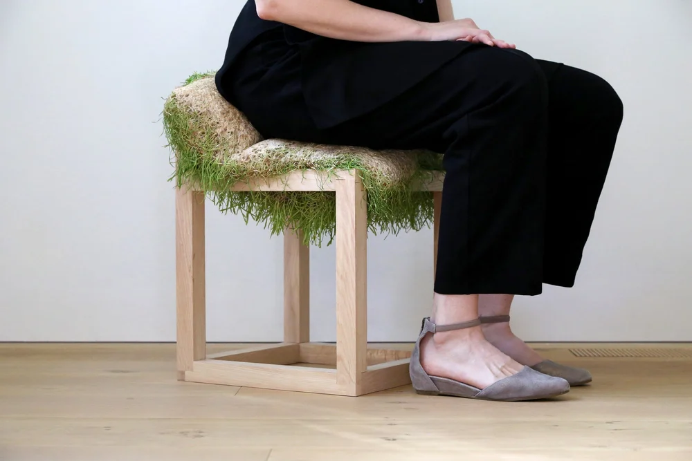 Turf & Tassel publication image