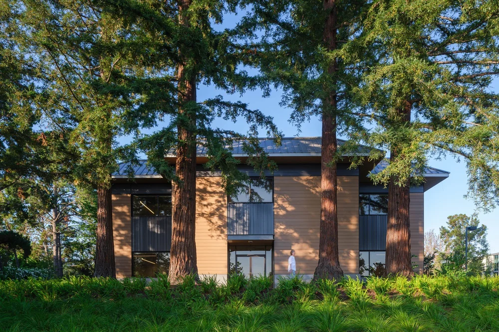 Research Park publication image