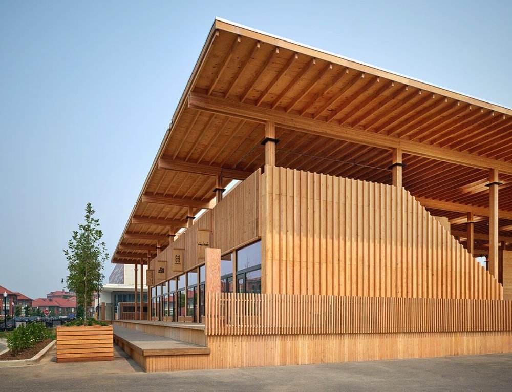 Sycamore & Oak publication image