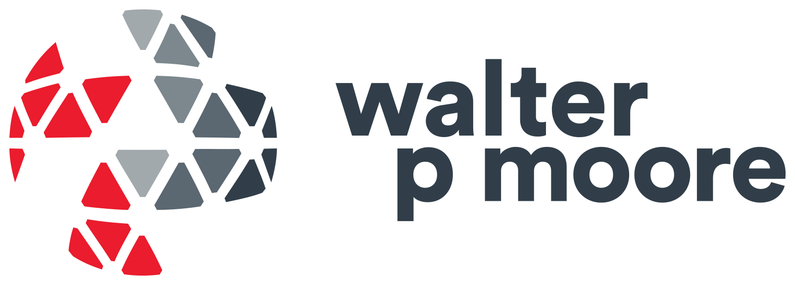 Walter_P_Moore.png