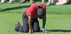 tiger_back_pain_medium.jpg
