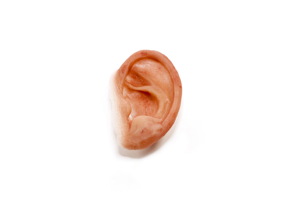 prosthetic ear.jpg