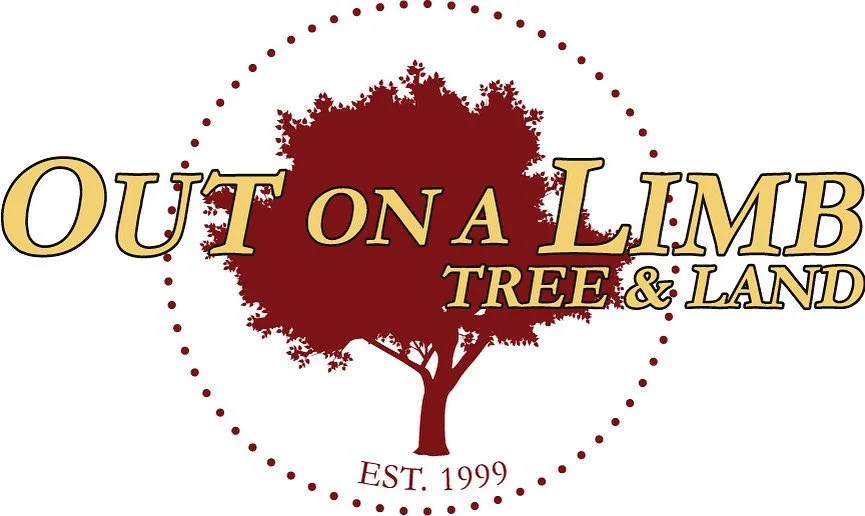 Out On A Limb Tree & Land