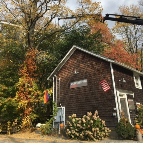 Out On A Limb - Tree Removal Service Stormville, NY