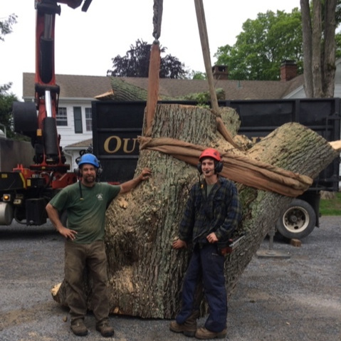 Out On A Limb - Tree Removal Service Millerton, NY