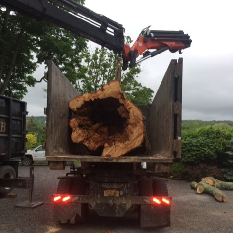 Out On A Limb - Tree Stump Removal in LaGrange, NY.